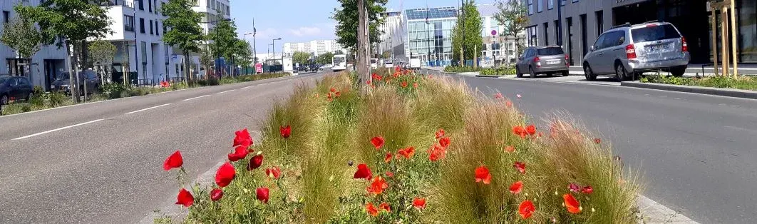 Propreté des espaces — EPA