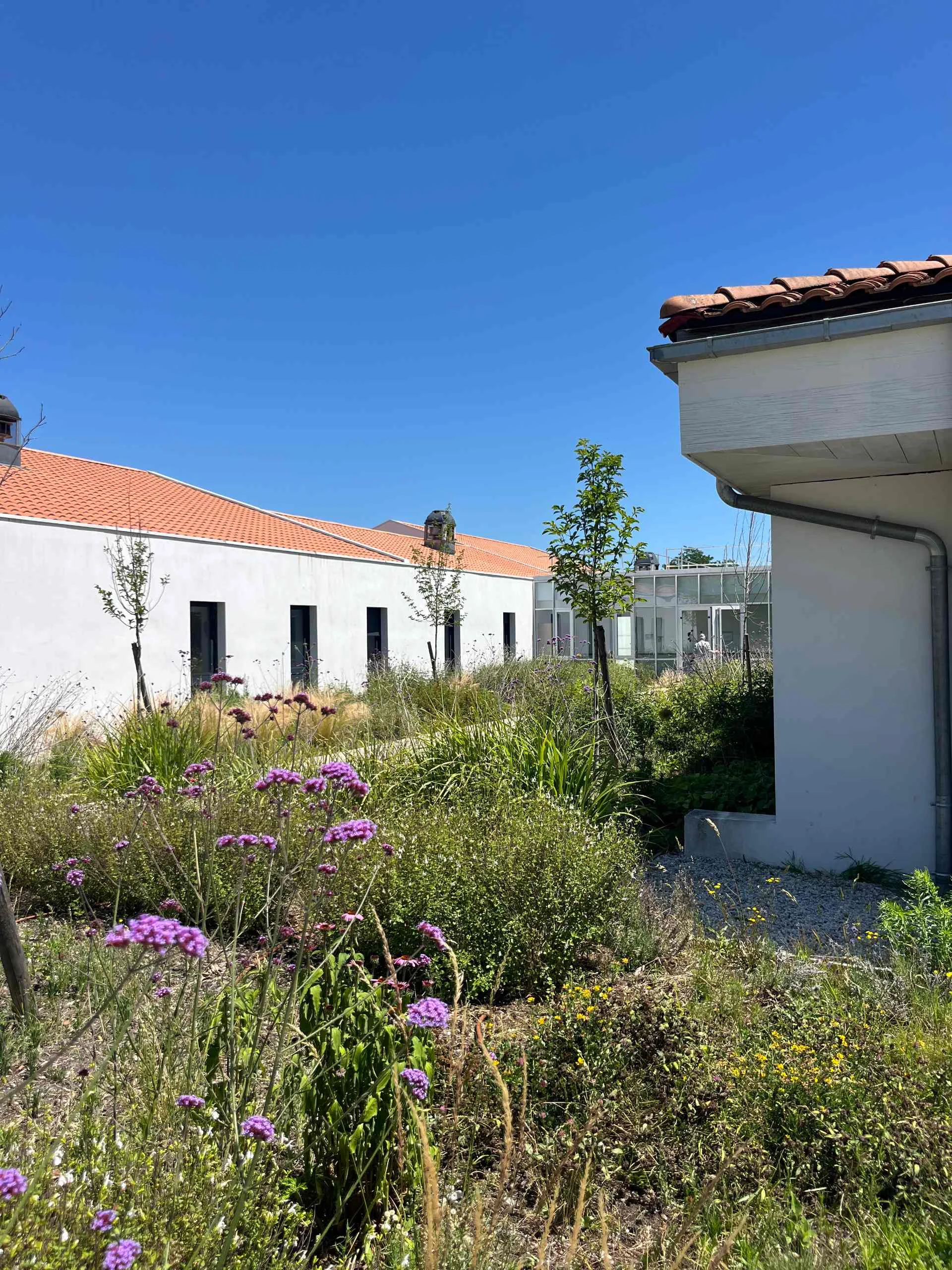 EHPAD — Médoc — photo 2