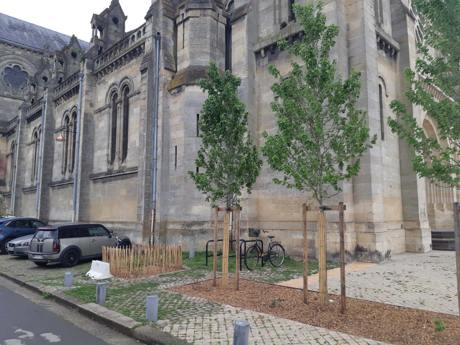 Cardinal Donnet — Bordeaux — photo 4