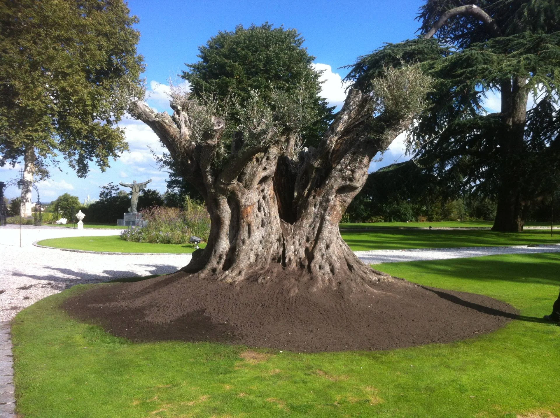 Château — Bordeaux — photo 2